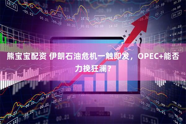 熊宝宝配资 伊朗石油危机一触即发，OPEC+能否力挽狂澜？