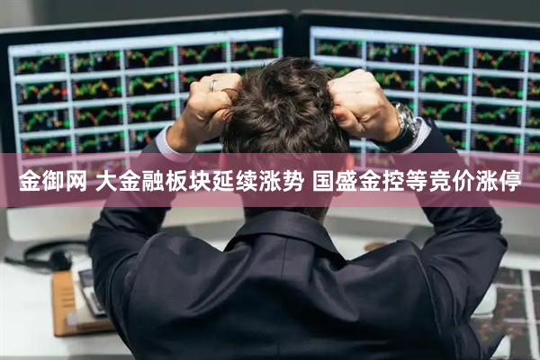 金御网 大金融板块延续涨势 国盛金控等竞价涨停