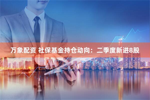 万象配资 社保基金持仓动向：二季度新进8股