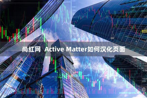 尚红网  Active Matter如何汉化页面