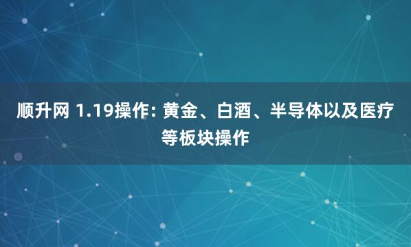 顺升网 1.19操作: 黄金、白酒、半导体以及医疗等板块操作